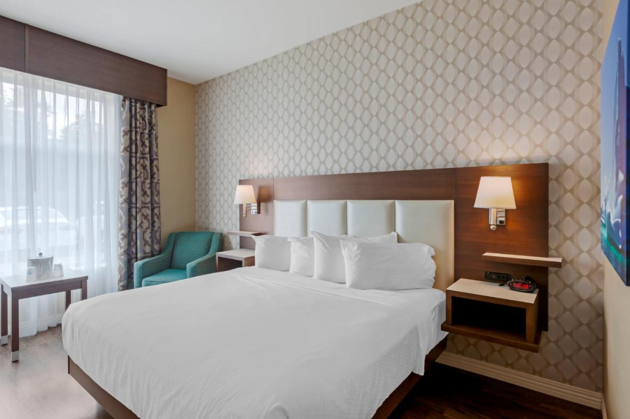 Best Western Plus St. John'S Airport Hotel And Suites Dış mekan fotoğraf